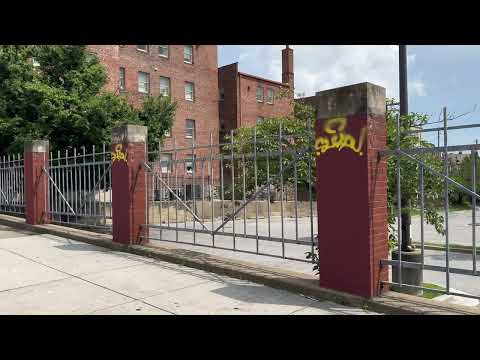 Charles Village Graffiti Story