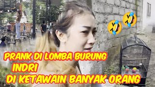 INDRI DIKETAWAIN BANYAK ORANG⁉️😂😂 INDRi LOMBA BURUNG