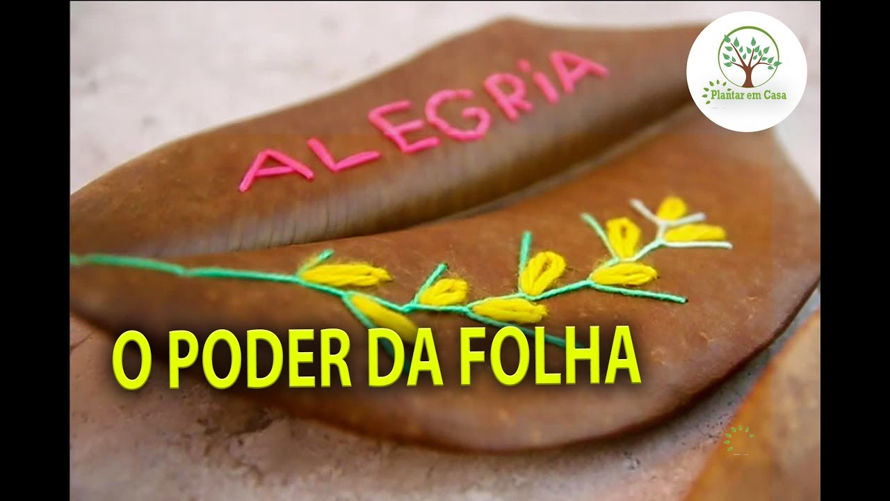 O PODER DE UMA FOLHA CAÍDA, ASSISTA E ENTENDA COM CLARICE BORIAN