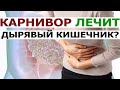 Карнивор диета лечит дырявый кишечник? Мясное питание и повышенная проницаемость кишечника.