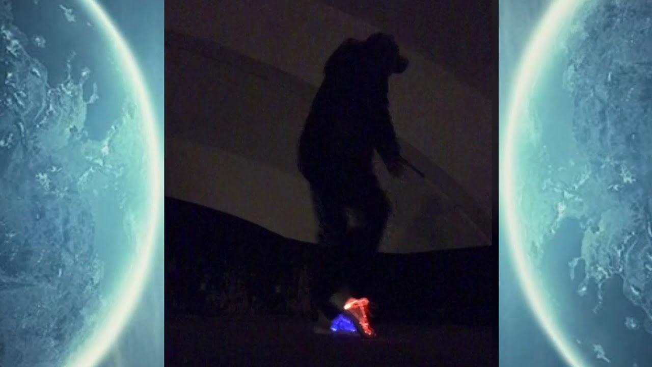 Progression Shuffle Don Diablo (On My Mind) / Ledshoes Shuffle/Shuffle Progression