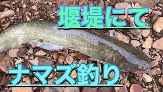 スプーンを使って、堰堤でナマズ釣り