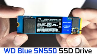 WD Blue SN550 by Western Digital- Best SSD Value?