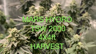 MARS HYDRO TSW 2000W HARVEST IN 4' X 4'