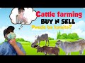 Cattle farming philippines