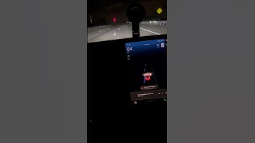 Auto Pilot  Básico model 3