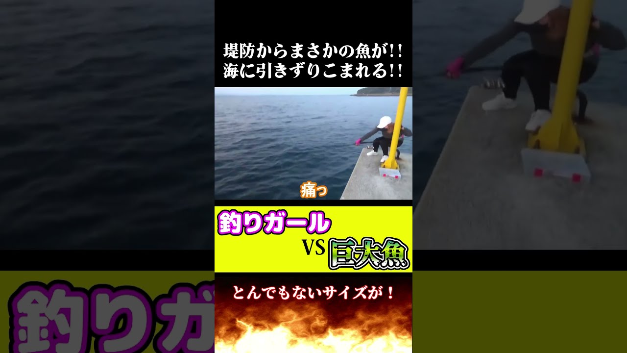 鯨を釣り上げた An incredible meter-sized monster will eat and go on a