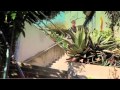 Keen - Urban Trails