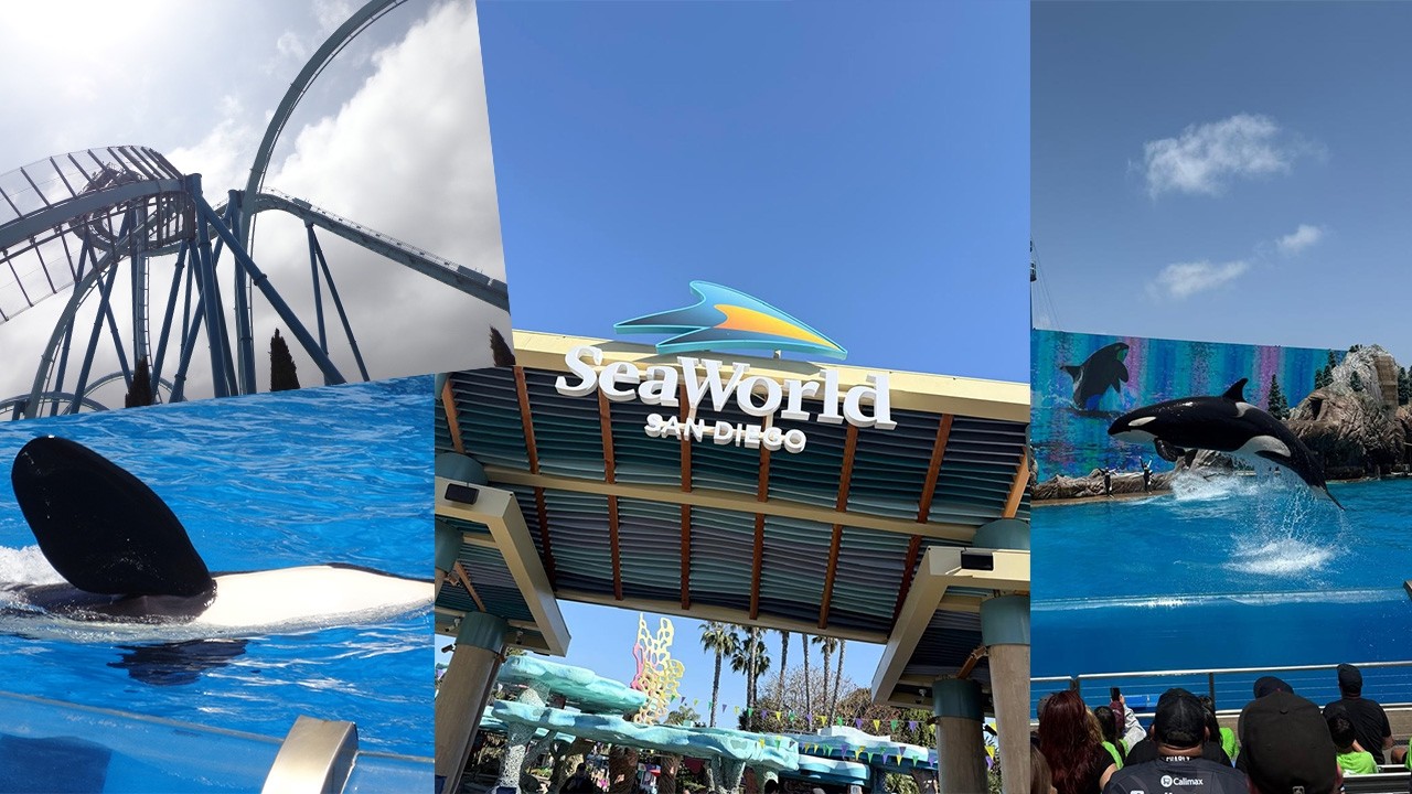 SeaWorld San Diego Rides | February 2026