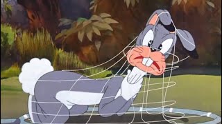 Elmers Candid Camera 33