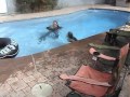 Really Funny - Girls getting thrown fully clothed into the pool