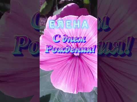 Елена, с днем рождения! #поздравление