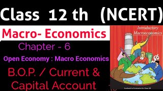 Balance of Payment (BOP) Current Account & Capital Account || 12th Economics CBSE NCERT RBSE