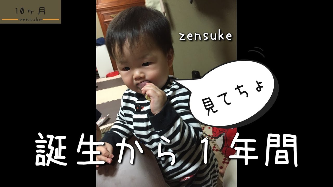 【善助】産まれてから1歳まで