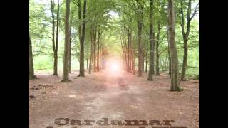 Cardamar - Careless Creativity