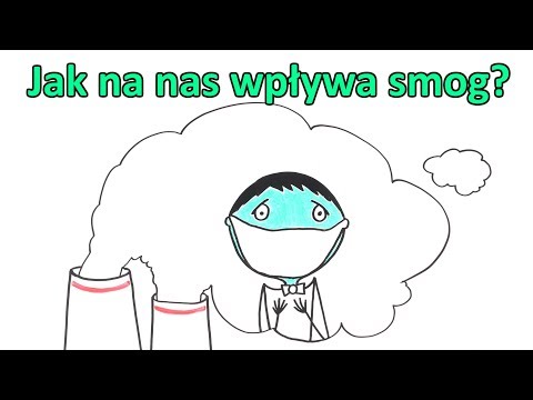 Wideo: Jak smog wpływa na człowieka?