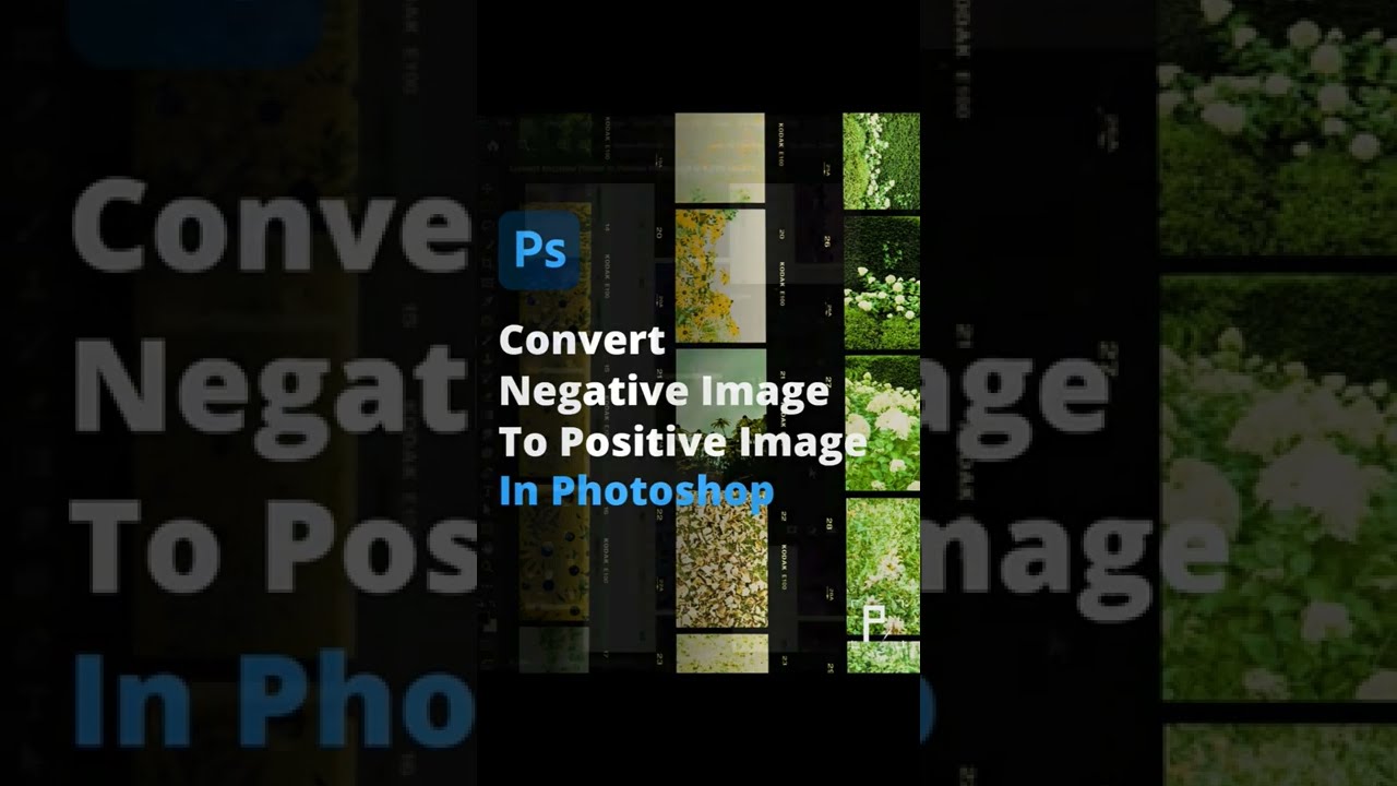 Convert Negative Image To Positive Image In Photoshop 🔵 Youtube