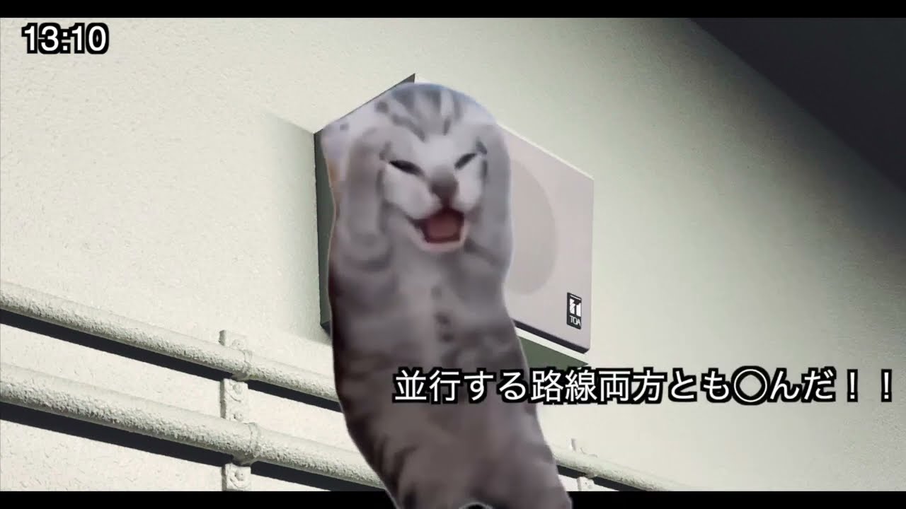 とある駅員の1日　並走する路線が全滅する日　【#猫ミーム】