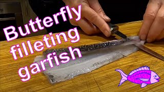 How to butterfly fillet a garfish with step by step instructions