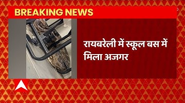 Raebareli से बड़ी खबर,स्कूल बस में अजगर के मिलने से मचा हड़कंप..देखिए EXCLUSIVE