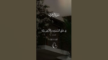 الذين يذكرون الله قياماً وقعوداً 🤍 #سورة_آل_عمران #ماهر_المعيقلي #قرآن #quran #islamicstatus