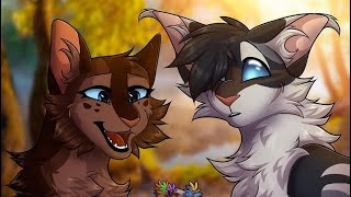 Top 15 Warrior Cats Couples That Would Of Been Good Mates