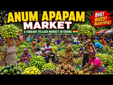 ANUM APAPAM Market|Ghana's Biggest Plantain Village Market!Busy, Colorful &Full of Life#rural#ghana 