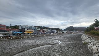영광 굴비거리 영상