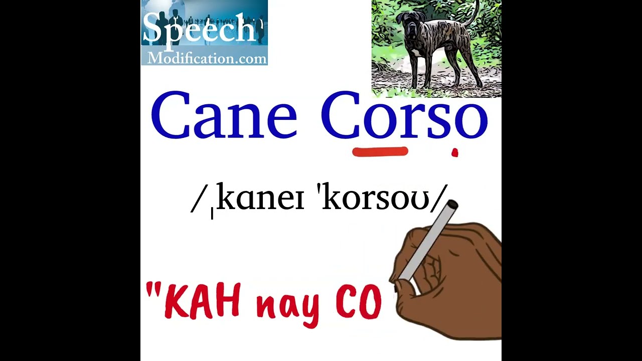 How To Pronounce Cane Corso YouTube How To Pronounce Cane Corso YouTube