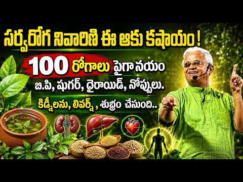 సర్వరోగ నివారిణి ఈ ఆకు వ్యాధులు అన్ని నయం | Total Body Detoxification   Khader Vali | Sumantv