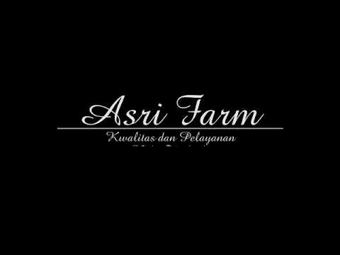 ASRI FARM | PEMBIBITAN BERKUALITAS