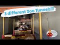 Toledo zoo walkthrough