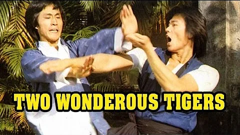Wu Tang Collection - Two Wonderous Tigers