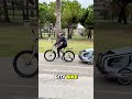 Cargo bike elettrica per trasportare cani: trasportino da 70 kg per muoversi in città