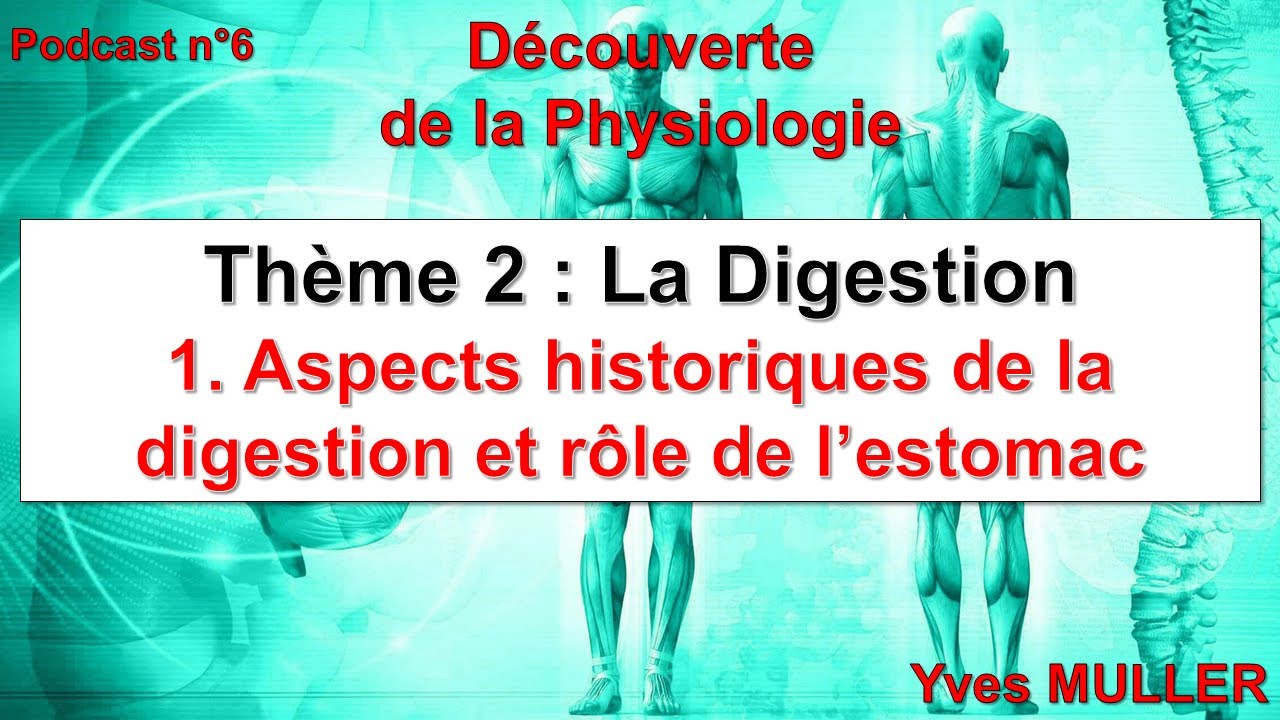 Épisode 6 - Aspects historiques de la digestion et rôle de l’estomac ...