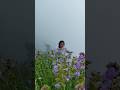 Beautiful idukki | Neelakurinji #idukki #kerala #nature #travel