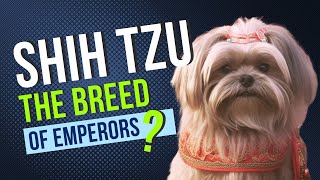 Shih Tzu UNRAVELED 2023 [ My Dog, My Live ]