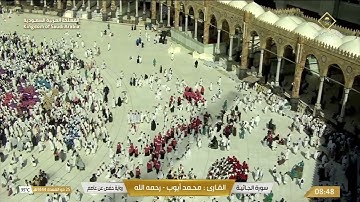 سورة الجاثية بصوت القارئ محمد أيوب