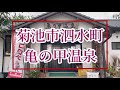 【温泉女子】美人の湯♨️亀の甲温泉♨️【熊本】女ひとり旅❤️japaneseonsen♨️絶品パスタ🍝ピノッキオ【グルメ】熊本の絶景スポット【熊本観光】温泉巡りの旅🧖‍♀️美肌効果抜群✨✨