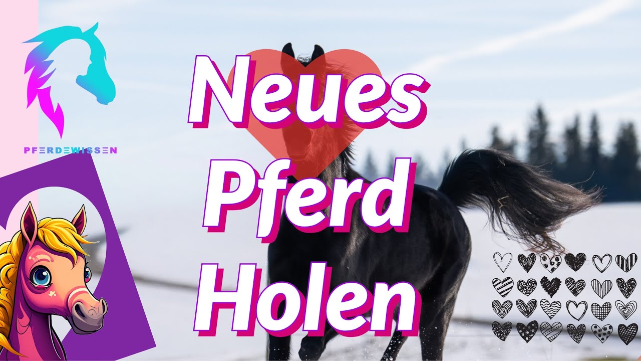 Neues Pferd holen