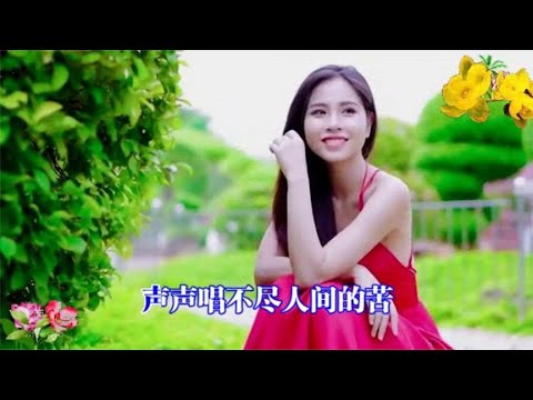 《小曲好唱口难开》演唱-童丽  #2023最新歌曲  #2023最新歌曲
