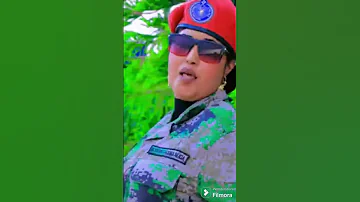 Dhaanto Cusub 2025 A Revolution In Somali Dance Music 