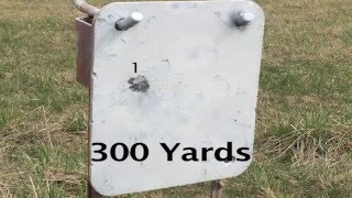 iStrelok App Bushnell AR 223 BDC Review 700 Yards