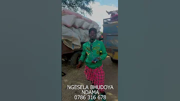 NGESELA AVUNA GUNIA 120 ZA MPUNGA NI MKULIMA MKUBWA MAJAMBAA MSOWERO MUWE TAYARI KWA NYIMBO ZAKE 