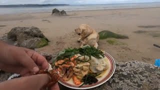 Foraged Sashimi Prawns and Wild Seafood omelette cooked on the beach with Craig Evans by Coastal Foraging With Craig Evans 73,152 views 5 years ago 18 minutes