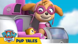 🐶 Pups Save a Flying Kitty | PAW Patrol | Cartoons for Kids