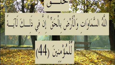 القران الكريم سورة العنكبوت الأية 44.wmv
