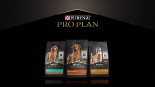 Pro Plan – New look and optimized formulas.