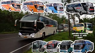 HUNTING BIS DI JALUR TIKUNGAN TAJAM,SINARJAYA,STJ,PEBEPE,DIENGINDAH,PAHALAKENCANA,MURNIJAYA,EKA