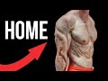 How to Grow Bigger ARMS (NO WEIGHTS)
